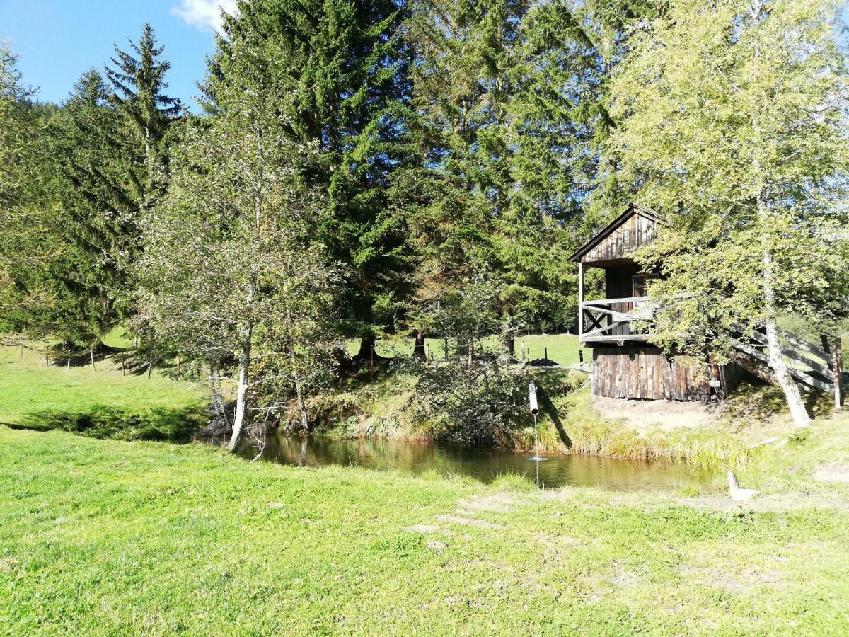 Almland Huette Villa Pusterwald Exterior foto